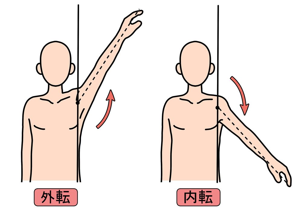 内転・外転