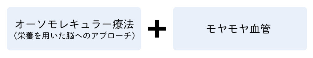 オーソモレキュラー療法（栄養を用いた脳へのアプローチ）、モヤモヤ血管